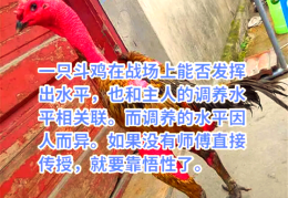 搓斗是什么意思(搓斗是什么意思啊)