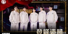 守望先锋ig战队成员(守望先锋igfire 队员)