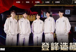 守望先锋ig战队成员(守望先锋igfire 队员)