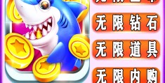 单机游戏内购破解器(单机内购破解游戏排行)