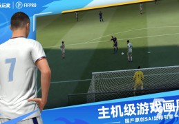 体育游戏汇总(体育游戏汇总表怎么做)