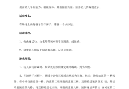 二年级体育游戏简单教案(二年级体育游戏简单教案设计)