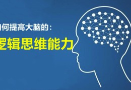 如何提升自己的思维逻辑讲听能力(怎么提高自己的逻辑思维能力和语言表达能力)