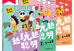 包含越玩越聪明的600个数学思维游戏书籍的词条