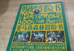 男孩冒险书(男孩冒险书值得看吗)