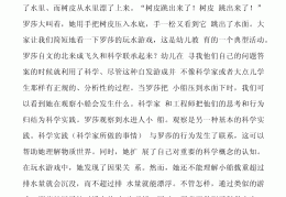 幼儿体育游戏创编与实践心得怎么写(创编幼儿体育游戏的基本原则和方法有哪些)