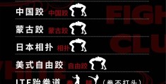 综合格斗都有哪些动作(综合格斗都有哪些动作组成)