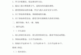 体育游戏的设计与组织专题总结与反思(体育游戏的设计与组织专题总结与反思心得)