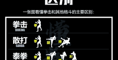 综合格斗游戏视频解说完整版(综合格斗游戏视频解说完整版大全)