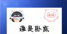 谁是卧底词语好玩的(谁是卧底有哪些好玩的词语)