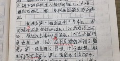 四年级有趣的游戏优秀作文(四年级有趣的游戏作文350字)