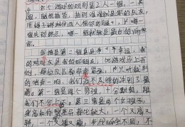 四年级有趣的游戏优秀作文(四年级有趣的游戏作文350字)