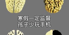 练脑力的手机小游戏(练脑力的手机小游戏大全)
