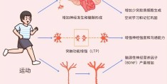 锻炼大脑灵活性(如何锻炼大脑灵活性)