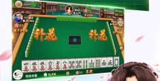 单机斗地主下载安装破解版(单机斗地主单机版无需网络)