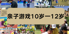 8到10岁的益智游戏(8到10岁的益智游戏有哪些)