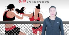 ufc综合格斗禁止规则(ufc综合格斗最惨烈视频)