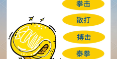 格斗游戏基本术语大全视频播放(格斗游戏基本术语大全视频播放教程)