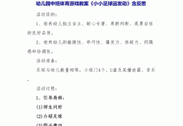 幼儿园中班体育游戏活动教案(幼儿园中班体育游戏活动教案卷一卷)