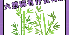 好玩的圆形有哪些名字(圆形游戏)