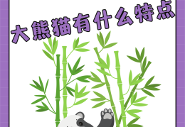 好玩的圆形有哪些名字(圆形游戏)