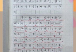 小学4年级作文记一次游戏350字(小学4年级作文记一次游戏350字怎么写)