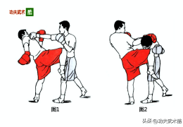 近身格斗招式(近身格斗术基本功)