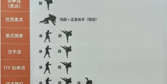格斗术基本功训练方法(格斗术基本功训练方法图解)