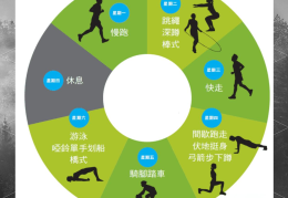体育游戏与体育活动的区别有哪些(体育活动和体育游戏的区别培训反思)