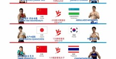 格斗分级标准是什么(格斗级别划分以什么来划分的)