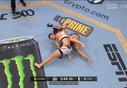 ufc终极格斗安卓破解版(ufc终极格斗游戏破解版苹果版)
