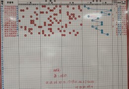 手游双色球排行榜怎么看(双色球手机怎么查询开奖结果)