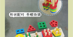 宝宝益智类玩具(宝宝益智玩具品牌排行榜)