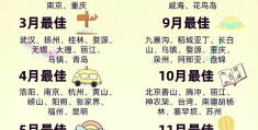 2024新手游发布时间(2024新手游发布时间表)