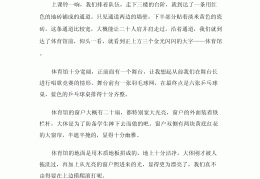 体育与游戏相结合的作文(举例说明体育与游戏的关系)