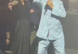 马保国打拳击(马保国打拳击的游戏)