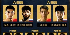 格斗比赛级别划分(格斗级别划分以什么来划分的)