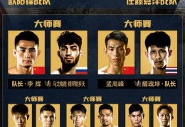 格斗比赛级别划分(格斗级别划分以什么来划分的)