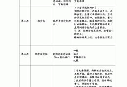 幼儿园体育游戏目标意义(幼儿园体育游戏目标及玩法规则)