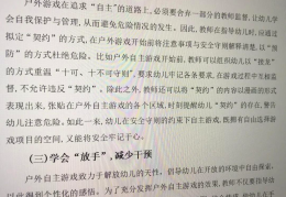 包含幼儿冒险性游戏的开展现状及其促进策略的词条