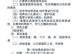 角色扮演游戏教案详细反思(角色扮演游戏教案详细反思总结)