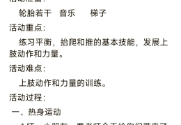 幼儿园特色轮胎游戏总结(幼儿园特色轮胎游戏总结与反思)