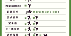 格斗游戏教程图解大全(格斗游戏教程图解大全简单)