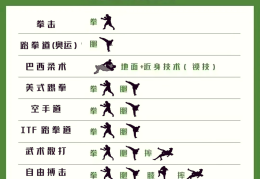 格斗游戏教程图解大全(格斗游戏教程图解大全简单)