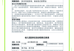 幼儿园警察角色游戏观察记录(幼儿园警察角色游戏观察记录与分析)