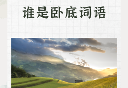 卧底用什么词形容(卧底用什么词形容好听)