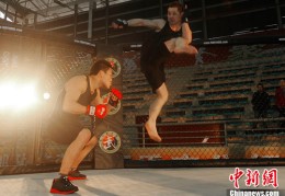 终极格斗1免费完整版高清(终极格斗1免费完整版高清下载)