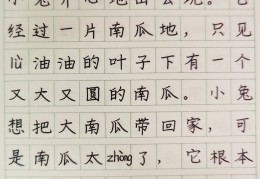 幼儿园体育教案运南瓜(幼儿园运南瓜教案及反思)