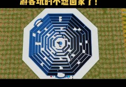 回旋迷宫怎么玩视频(回旋迷宫怎么玩视频教程)