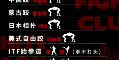 综合格斗有哪些格斗技(综合格斗有哪些格斗技术)